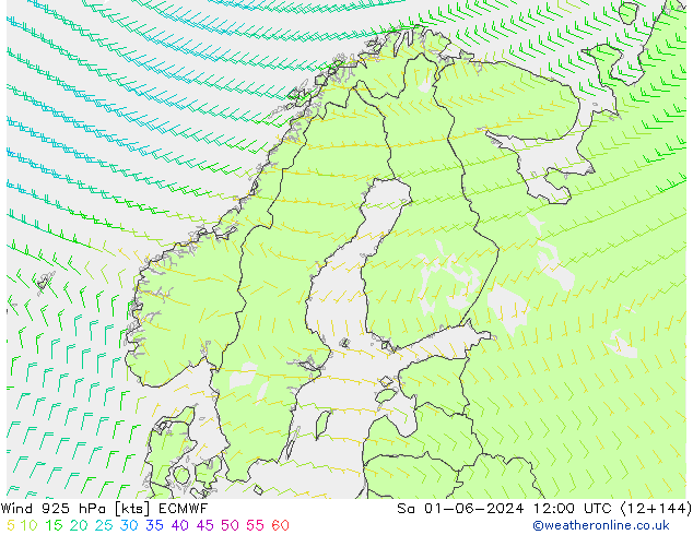 Wind 925 hPa ECMWF Sa 01.06.2024 12 UTC