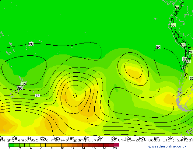 Height/Temp. 925 гПа ECMWF сб 01.06.2024 06 UTC