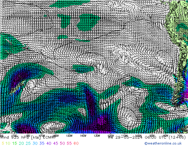 ветер 925 гПа ECMWF ср 29.05.2024 06 UTC