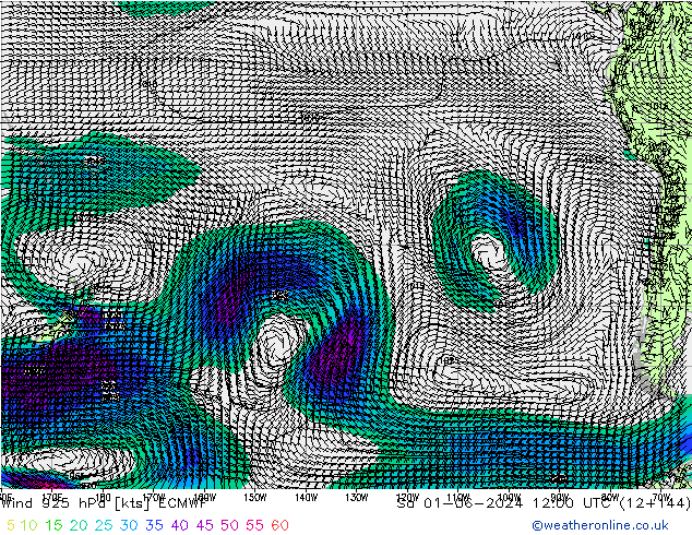  925 hPa ECMWF  01.06.2024 12 UTC