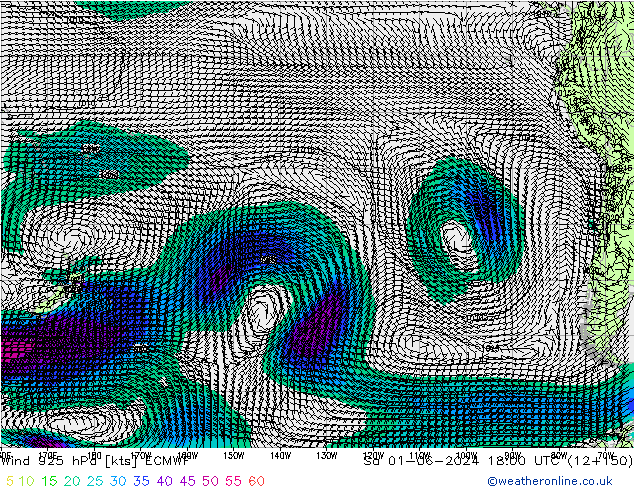 Rüzgar 925 hPa ECMWF Cts 01.06.2024 18 UTC