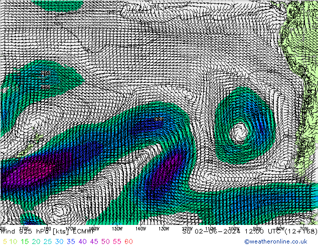 ветер 925 гПа ECMWF Вс 02.06.2024 12 UTC