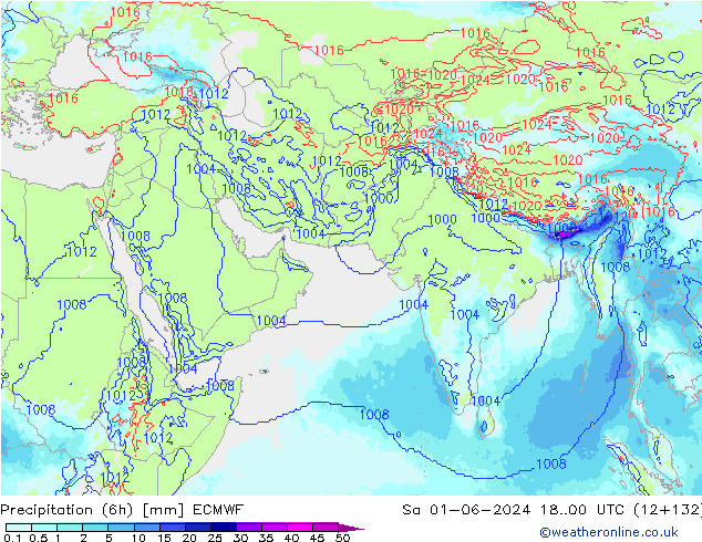 Yağış (6h) ECMWF Cts 01.06.2024 00 UTC