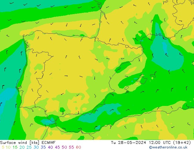 Wind 10 m ECMWF di 28.05.2024 12 UTC