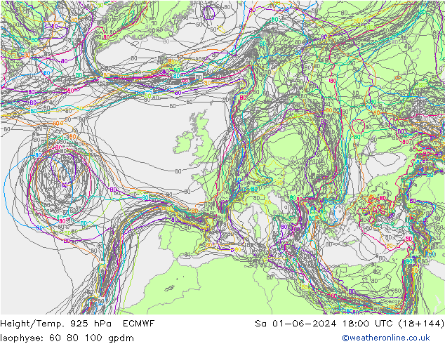 Géop./Temp. 925 hPa ECMWF sam 01.06.2024 18 UTC