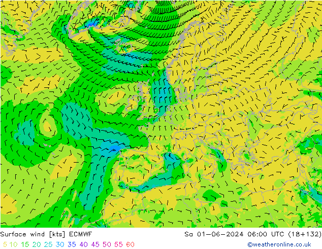 Surface wind ECMWF Sa 01.06.2024 06 UTC