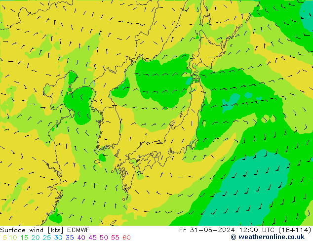 wiatr 10 m ECMWF pt. 31.05.2024 12 UTC