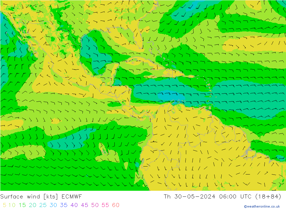 ветер 10 m ECMWF чт 30.05.2024 06 UTC