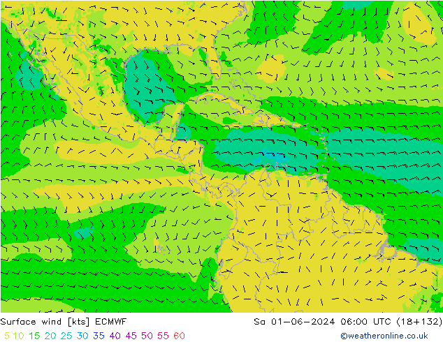 Vento 10 m ECMWF Sáb 01.06.2024 06 UTC