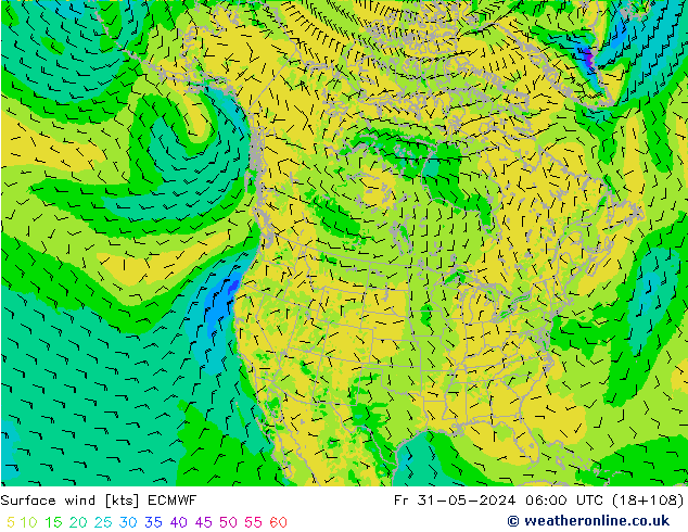 Bodenwind ECMWF Fr 31.05.2024 06 UTC