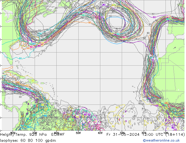 Hoogte/Temp. 925 hPa ECMWF vr 31.05.2024 12 UTC