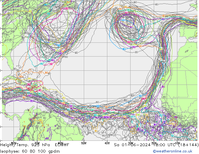 Hoogte/Temp. 925 hPa ECMWF za 01.06.2024 18 UTC