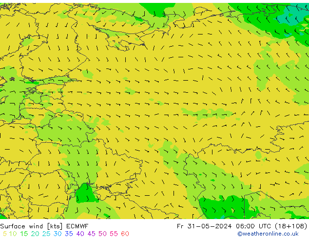 Surface wind ECMWF Fr 31.05.2024 06 UTC