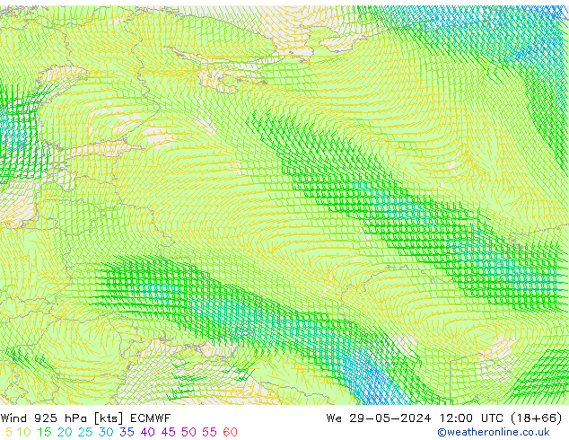 Wind 925 hPa ECMWF wo 29.05.2024 12 UTC