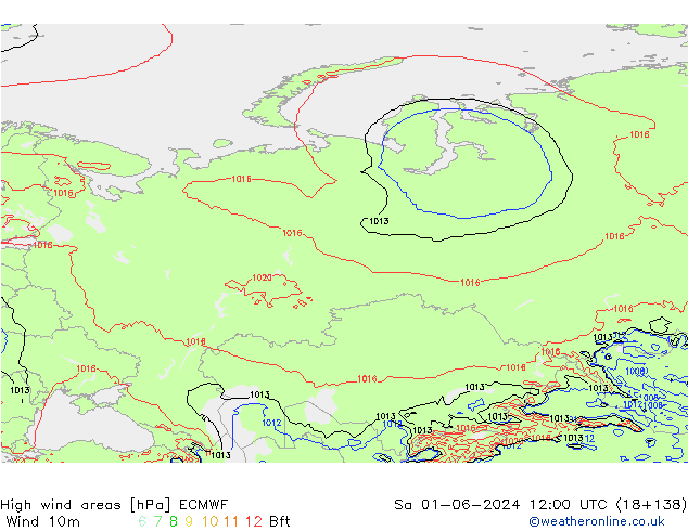 yüksek rüzgarlı alanlar ECMWF Cts 01.06.2024 12 UTC