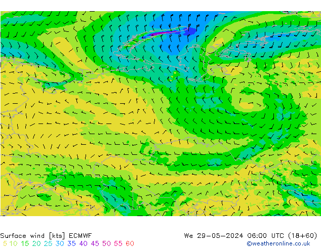 Surface wind ECMWF We 29.05.2024 06 UTC