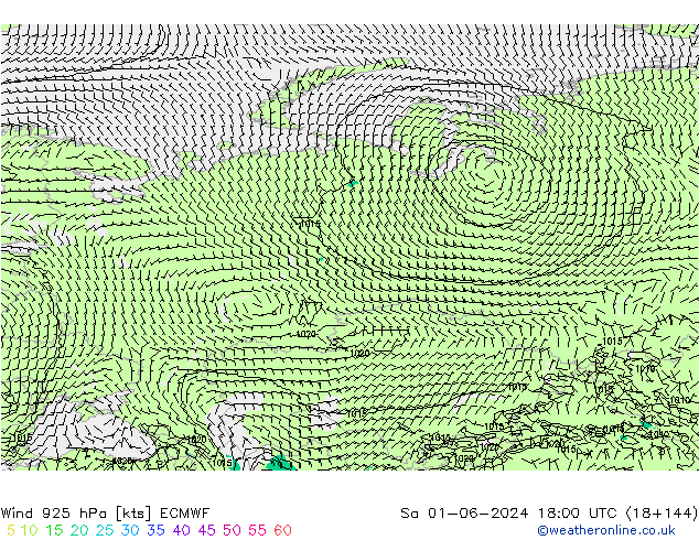 wiatr 925 hPa ECMWF so. 01.06.2024 18 UTC