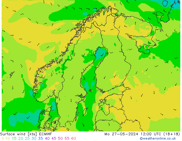 Surface wind ECMWF Mo 27.05.2024 12 UTC