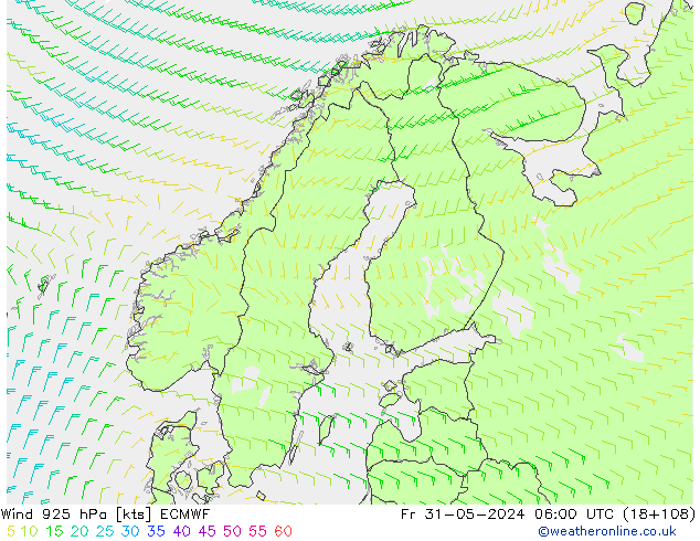 Rüzgar 925 hPa ECMWF Cu 31.05.2024 06 UTC