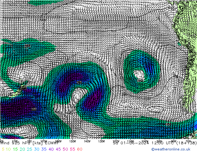 Vento 925 hPa ECMWF sab 01.06.2024 12 UTC