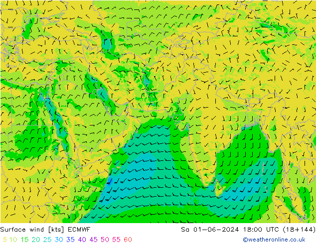 Surface wind ECMWF So 01.06.2024 18 UTC