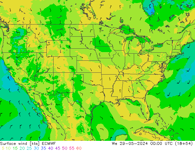 Vento 10 m ECMWF Qua 29.05.2024 00 UTC