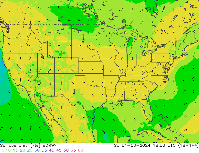 Vento 10 m ECMWF sab 01.06.2024 18 UTC