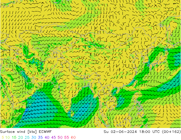 ветер 10 m ECMWF Вс 02.06.2024 18 UTC