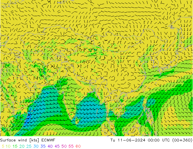 Wind 10 m ECMWF di 11.06.2024 00 UTC