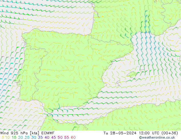 Wind 925 hPa ECMWF di 28.05.2024 12 UTC