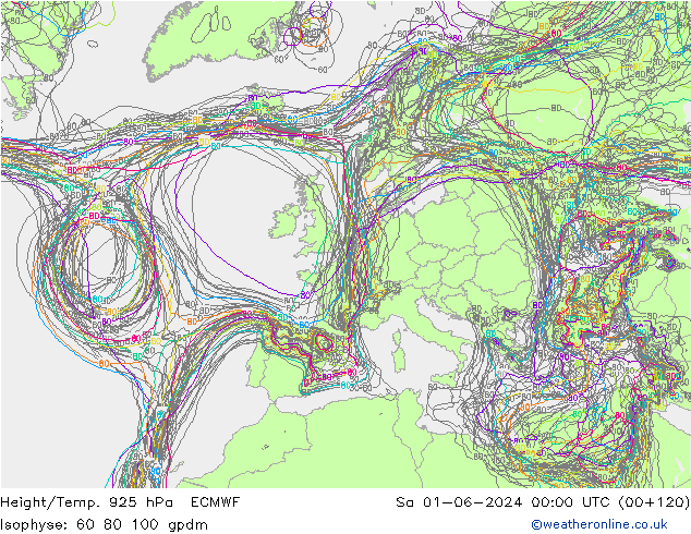 Height/Temp. 925 hPa ECMWF Sa 01.06.2024 00 UTC