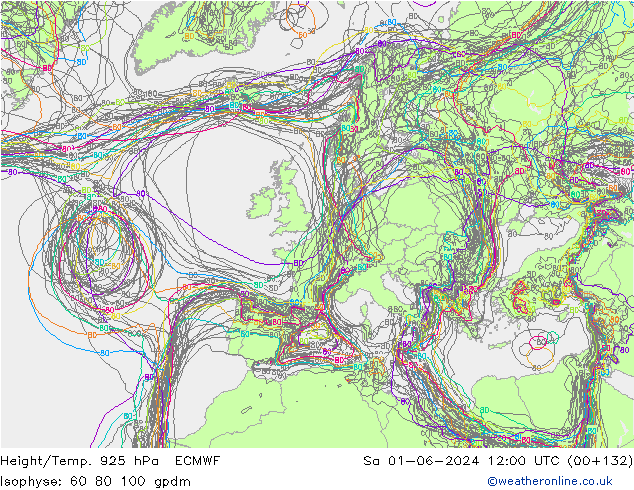 Height/Temp. 925 гПа ECMWF сб 01.06.2024 12 UTC