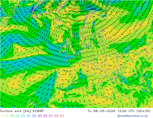 Surface wind ECMWF Tu 28.05.2024 12 UTC