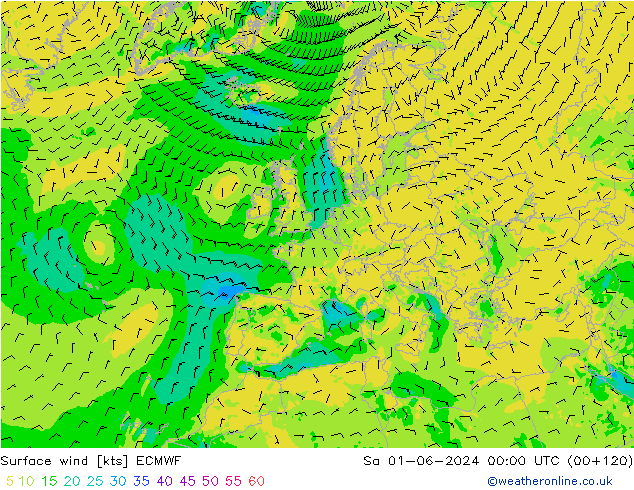 Surface wind ECMWF Sa 01.06.2024 00 UTC