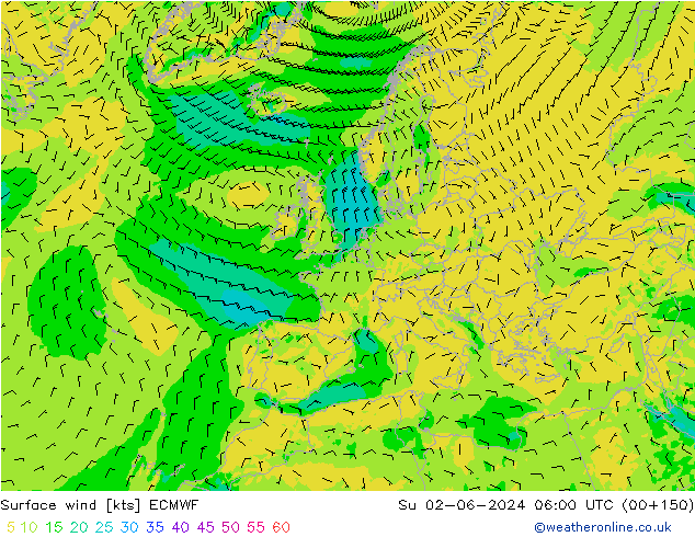 Bodenwind ECMWF So 02.06.2024 06 UTC