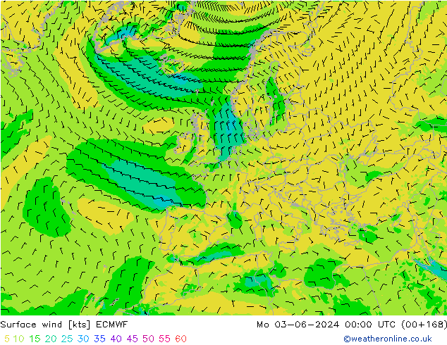 Wind 10 m ECMWF ma 03.06.2024 00 UTC