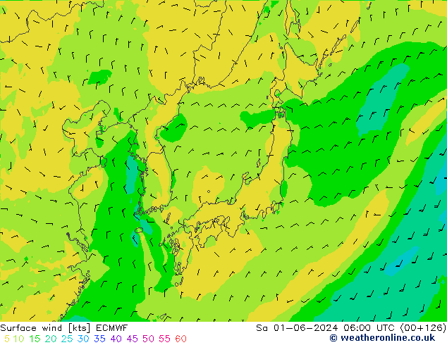 ветер 10 m ECMWF сб 01.06.2024 06 UTC