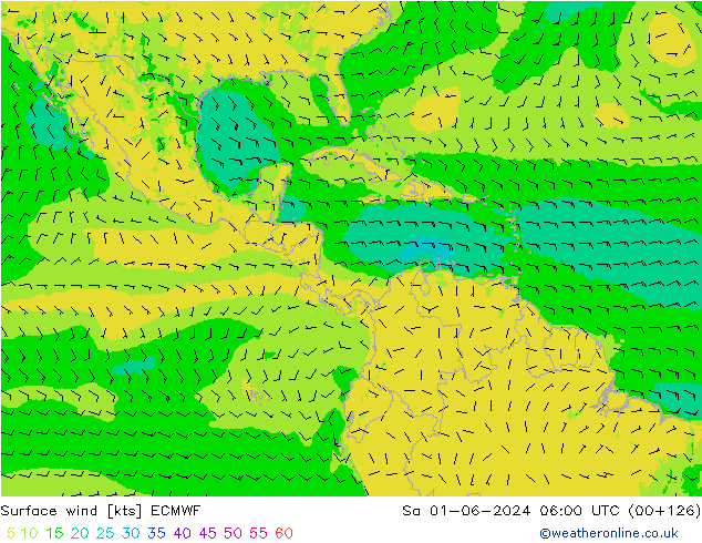 Rüzgar 10 m ECMWF Cts 01.06.2024 06 UTC