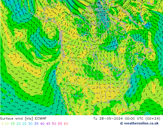 Surface wind ECMWF Tu 28.05.2024 00 UTC