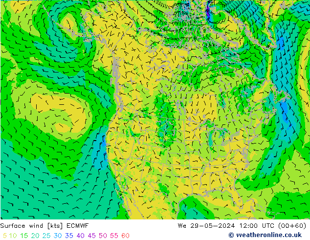 Vento 10 m ECMWF Qua 29.05.2024 12 UTC