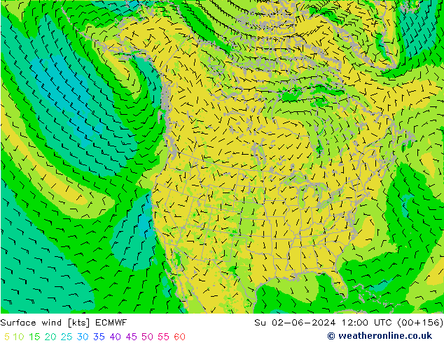 Surface wind ECMWF Su 02.06.2024 12 UTC