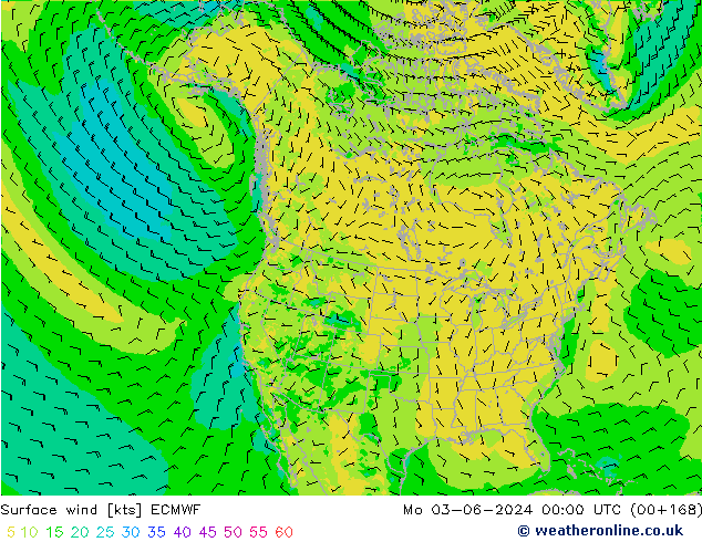 Surface wind ECMWF Po 03.06.2024 00 UTC