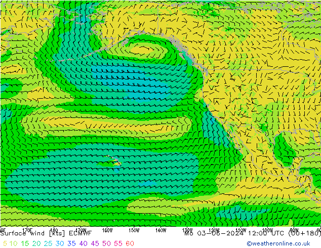 Surface wind ECMWF Mo 03.06.2024 12 UTC