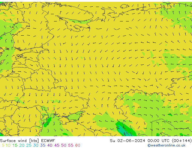  10 m ECMWF  02.06.2024 00 UTC