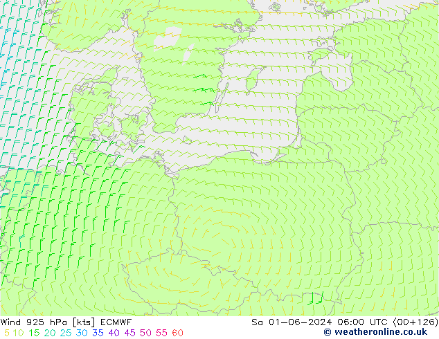 Vento 925 hPa ECMWF sab 01.06.2024 06 UTC