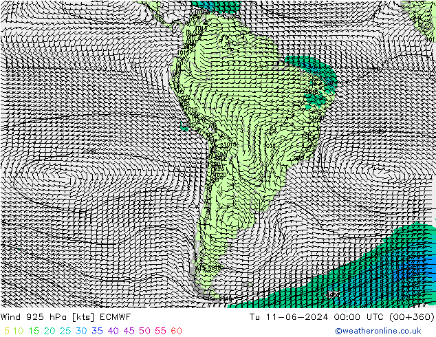 Rüzgar 925 hPa ECMWF Sa 11.06.2024 00 UTC