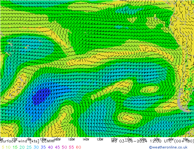 Surface wind ECMWF Mo 03.06.2024 12 UTC