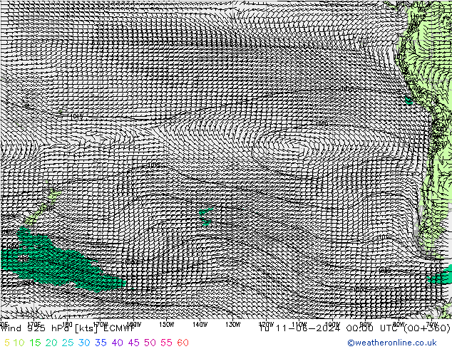 Viento 925 hPa ECMWF mar 11.06.2024 00 UTC