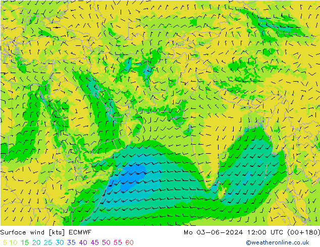 ветер 10 m ECMWF пн 03.06.2024 12 UTC