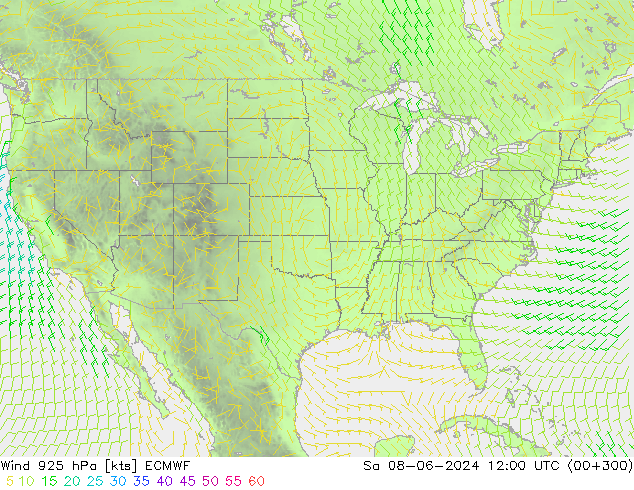 Vento 925 hPa ECMWF sab 08.06.2024 12 UTC